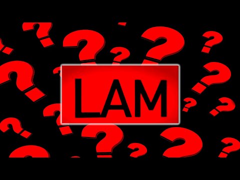ENIGMÁTICO LAM: El