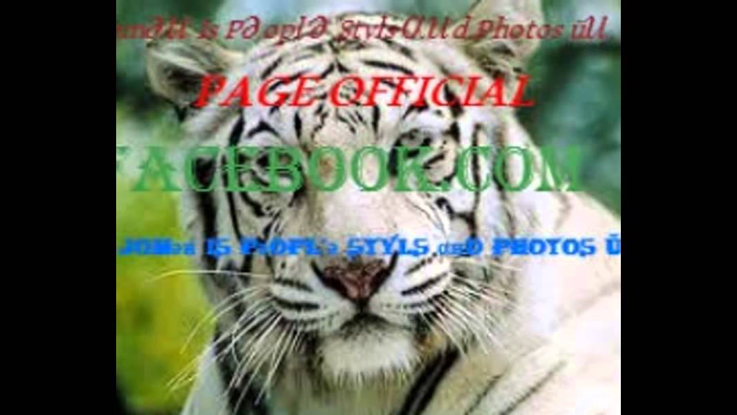 •Jomǝи Is Pǝopl'ǝ Styls αиd Photos üи- ♥ Jo Johansen lml