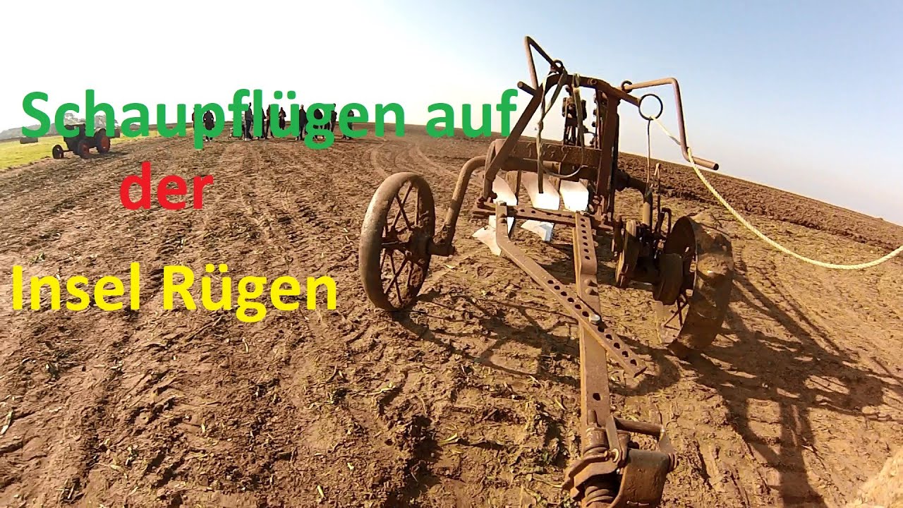 Schaupflügen auf der Insel Rügen 2024