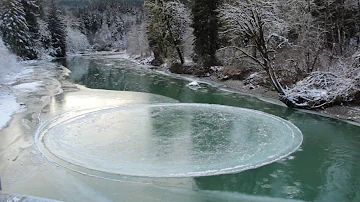 Circle of River Ice