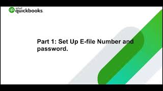 How to efile single T1 return in Pro Tax