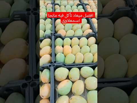 امتى نأكل مانجا من غير رش وكمر