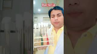Identification of Bacteria #Microbiology #Bacteriology #Biochemical #TSI #Citrate #Urease #SIM