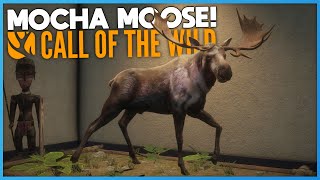 Moose Mission