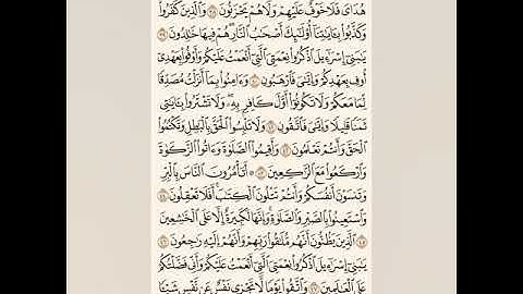 سورة البقرة كاملة مكتوبة تلاوات من صلاة الفجر(الشيخ أبو القعقاع سليمان نبهان )