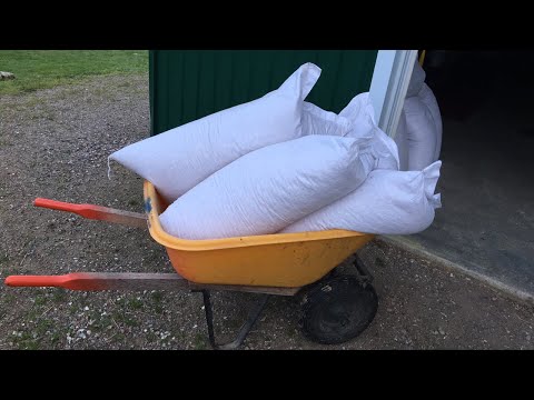 cruelty free dog food at petsmart Feeding the ducks