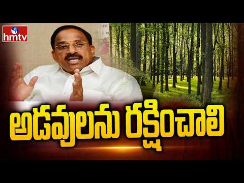 అడవులను రక్షించాలి.. | Minister Thummala Nageswara Rao In hmtv Organic Mela | hmtv - HMTVNEWS