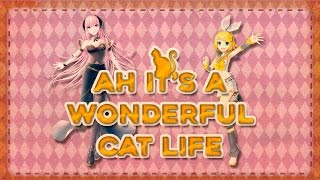 Ah, It's A Wonderful Cat's Life
