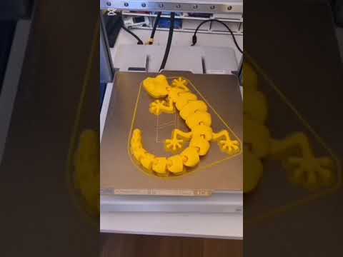 3D Printed Lizard