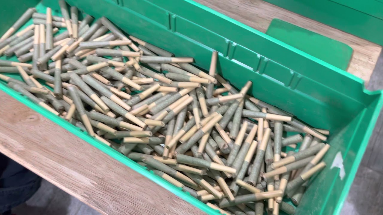 Fold N Go - Futurola