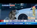 黑貓女員工殺同事事件