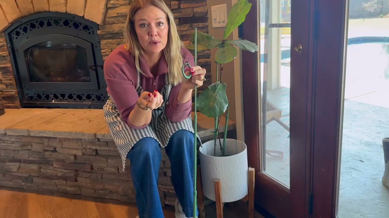 A Closer Look at the Quality of This Plant Stake | Stroller Review