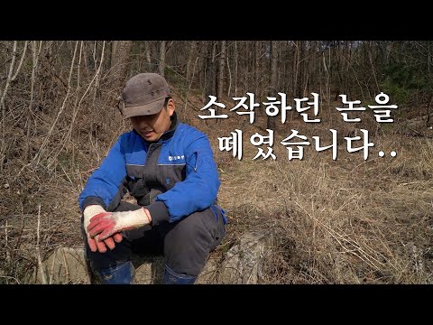 소작하던 논을 떼였습니다..(하나를_잃으면_하나를_잃는..)