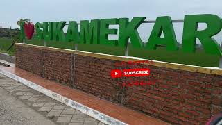 Download Lagu RIEVEW NONGKRONG LIAT PEMANDANGAN SAWAH DESA SUKAMEKAR MP3