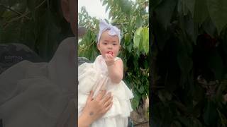 go cherry picking with dad #baby10m3d