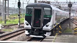 20220423   臨時特急あしかが大藤祭り3号 E257系5500番台OM 54大船駅入線シーン 2022 04 23   EWdKy9fHcso