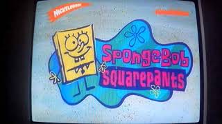 Spongebob Blackened Sponge Romanian