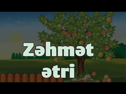 Zəhmət ətri | Uşaqlar üçün hekayələr və nağıllar