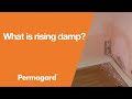 What is rising damp