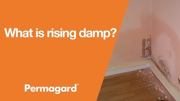 What is rising damp?