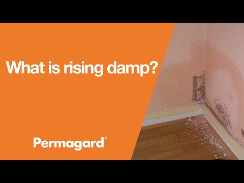 What is rising