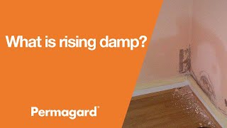 What is rising damp?