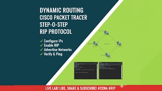 Cisco Packet Tracer| Dynamic Routing with RIP—Full Configuration Guide