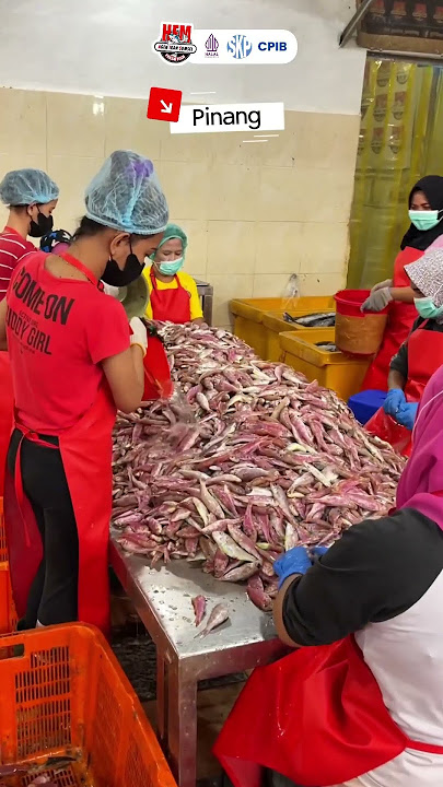 3 Ikan Yang Sering Dibuat Kerupuk Kemplang Enak!!