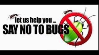 Pest Control Spokane WA