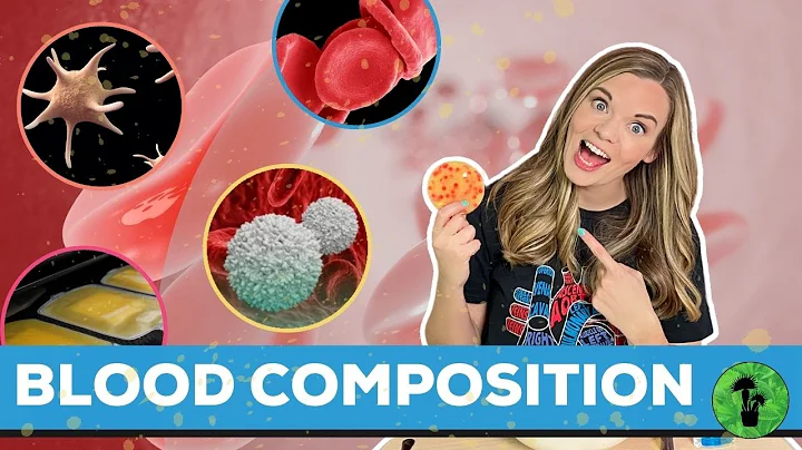 Blood Components | Red & White Blood Cells, Platelets, Plasma