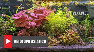 Biotopo Asiatico 2022