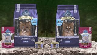 ✅Top 5 Best Cat Food for 10 Month Old Kitten 2026