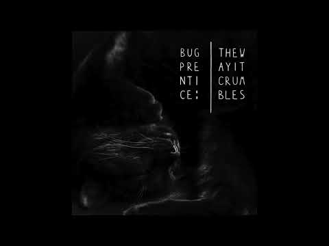 Bug Prentice — Just Do Anything? (audio)