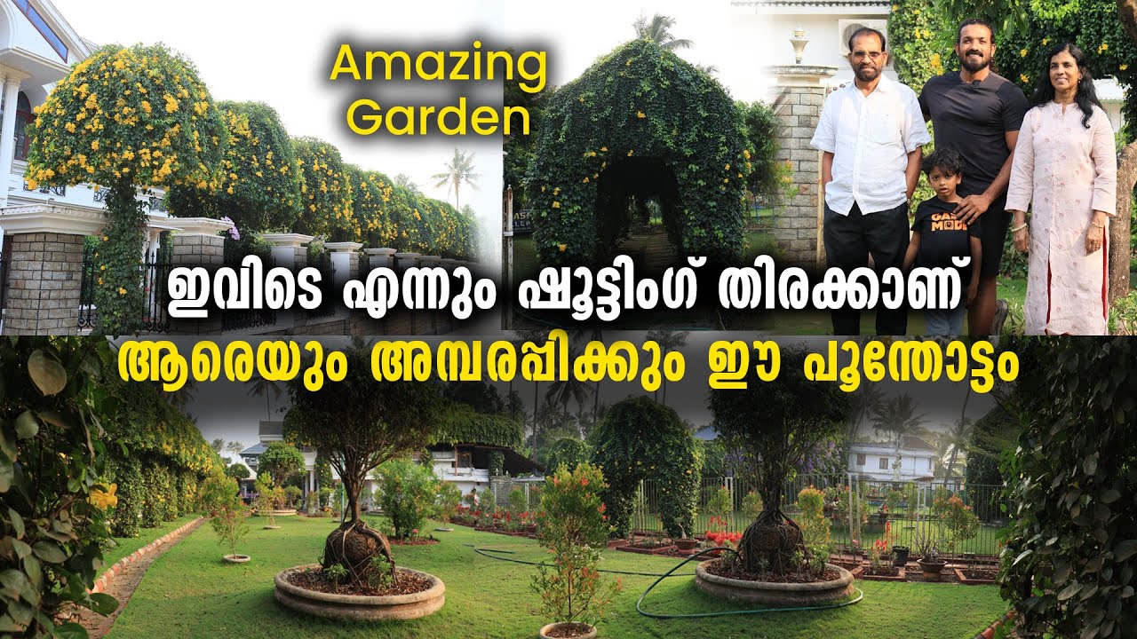ആരെയും അമ്പരപ്പിക്കും ഈ പൂന്തോട്ടം | ഇവിടെ എന്നും ഷൂട്ടിം​ഗ് തിരക്കാണ്  | Amazing Garden