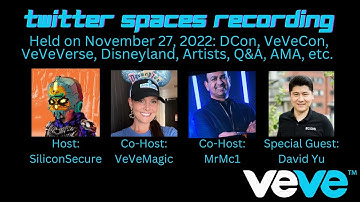 Twitter Spaces Audio Recording w/David Yu on November 27, 2022
