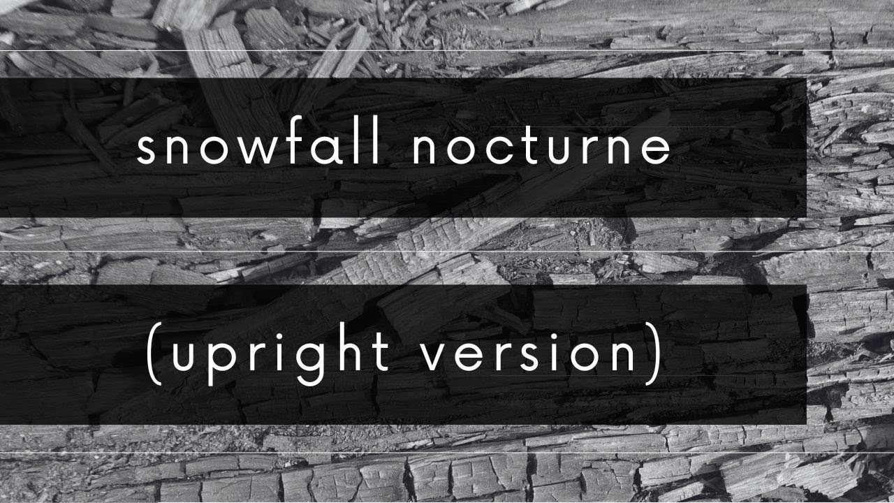 Andrew Ang - Snowfall Nocturne (Upright Version)