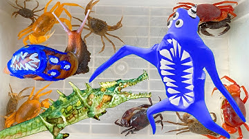 Kem Ốc Chanel và xe đầu cá mập bắt quái vật, cứu con cua, con cá, cá sấu, con chó, con mèo.