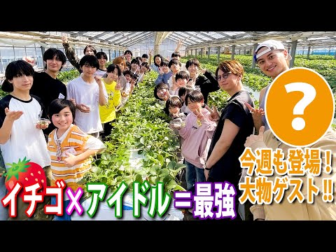 関西ジュニア【キラキラ先輩アイドルとイチゴ狩り🍓】これが正解