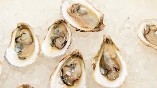 Norovirus outbreak linked to Canadian oysters