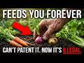 How I Grew 60 lbs of Food from Trash and a $1.49 Seed Packet