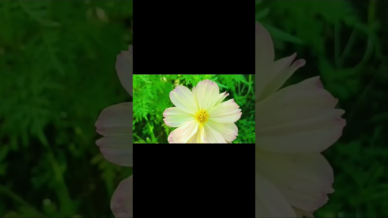 Replica of Noah’s Ark at Hilltop Ark in Maasin City, Southern Leyte
