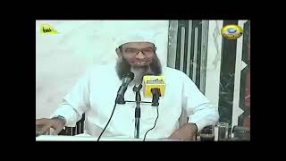 السيرة النبوية (2) | الشيخ مسعد أنور | العرب قبل الإسلام