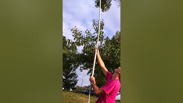 How To Get a Syma X5c Quadcopter Down From a Tree