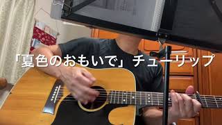 「夏色のおもいで」チューリップ🌷 「夏色のおもいで」チューリップ🌷