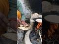 Gaon ka Desi khana #villagelife #desikhana #food #rajasthani #short #trendingshorts #youtubeshorts