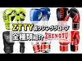 【ZTTY】ボクシンググローブ全種類を一気に紹介【ZHENGTU】