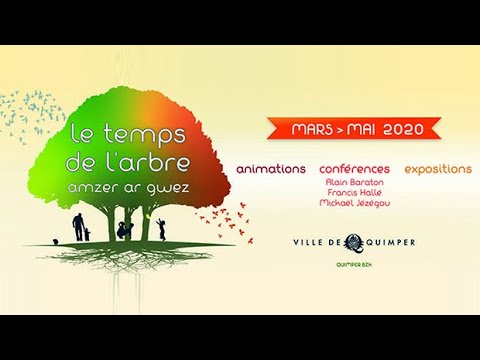 Vidéo: Comment battre une ordonnance de préservation des arbres ?