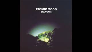 Atomic Moog - Model