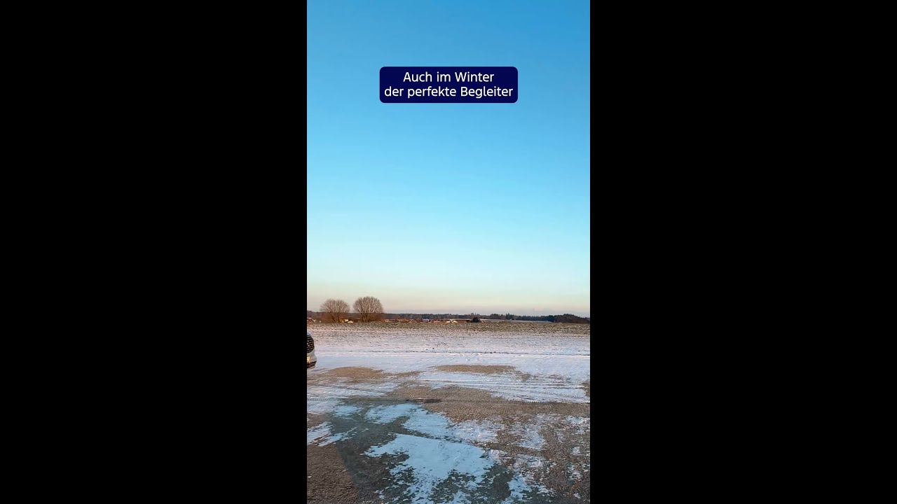Auch im Winter dein perfekter Begleiter!❄️​