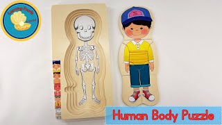 Lets Learn About The Human Body Educational Science Puzzle For Curious Kids Best Learning Videos